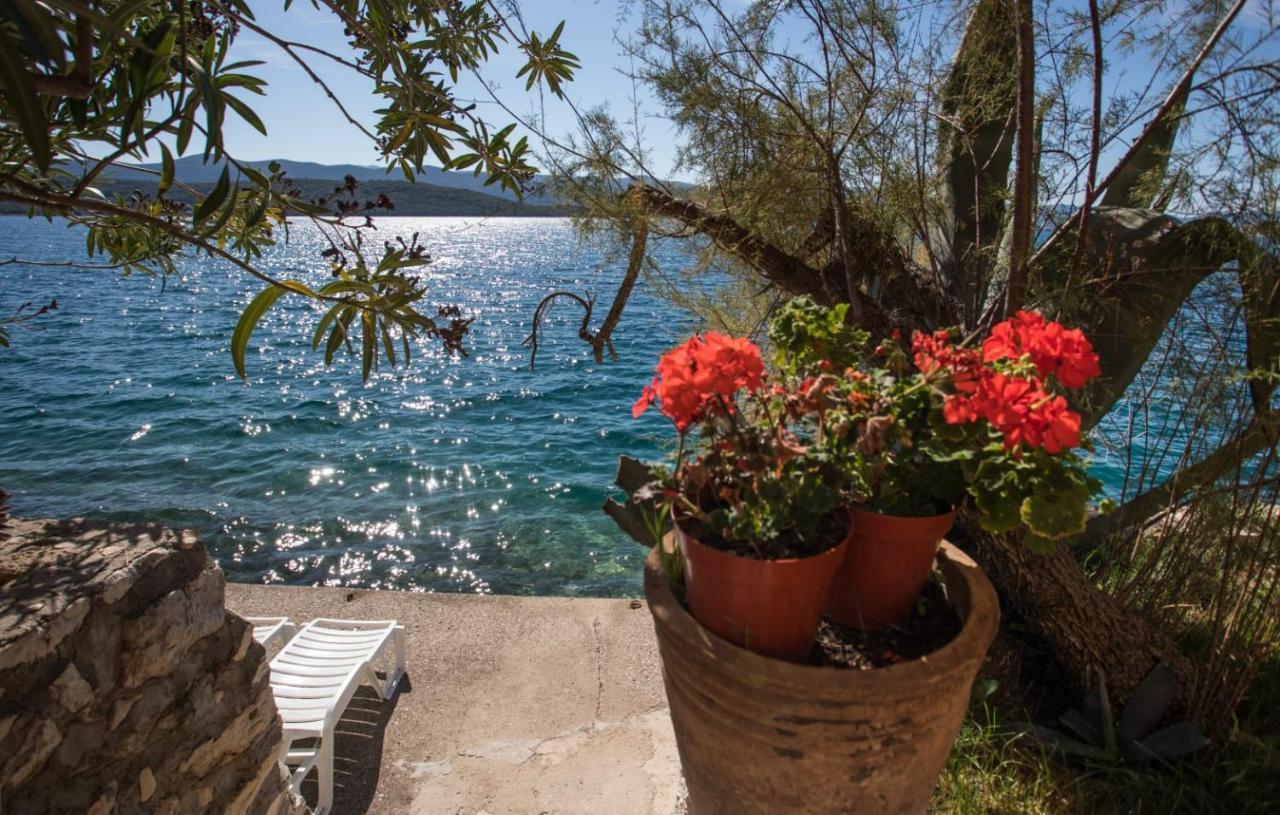 Apartmani Nikoletic Klek Exterior foto